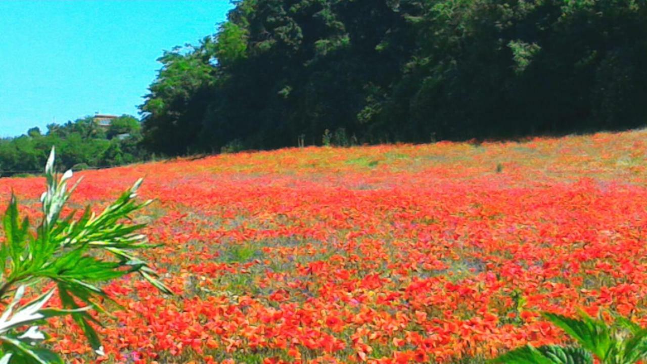 San Filippo Villa Acquapendente Esterno foto