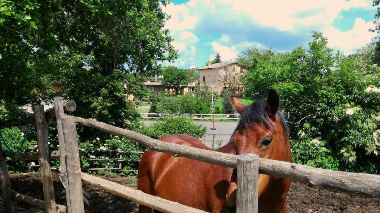 San Filippo Villa Acquapendente Esterno foto