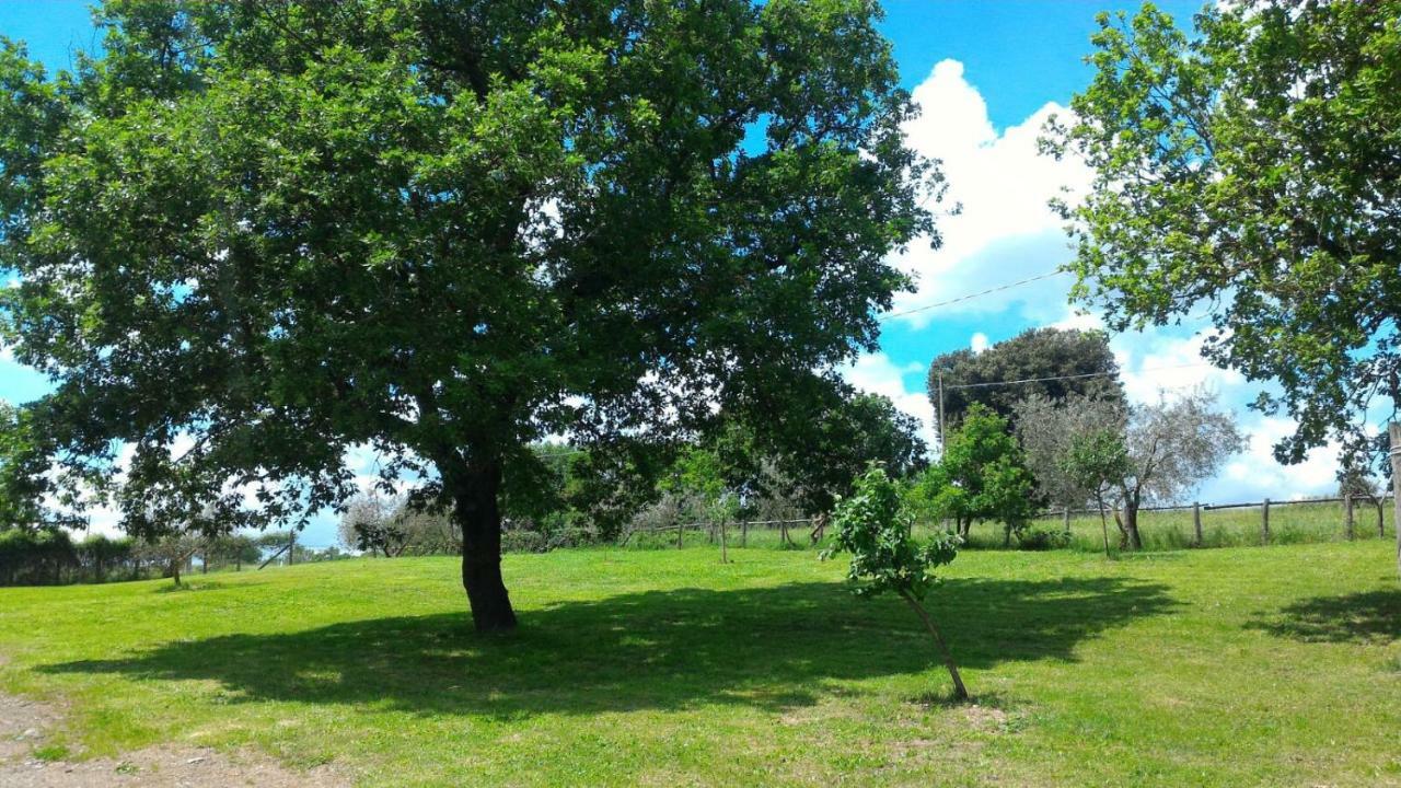 San Filippo Villa Acquapendente Esterno foto